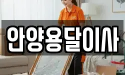 안양용달이사
