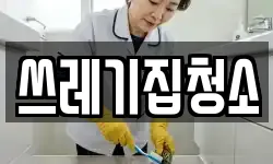 쓰레기집청소