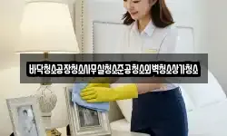 바닥청소공장청소사무실청소준공청소외벽청소상가청소