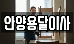 안양용달이사