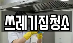 쓰레기집청소