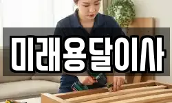 미래용달이사
