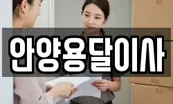 안양용달이사