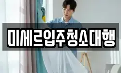 미세르입주청소대행