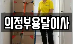의정부용달이사
