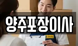 경기 양주시 고읍동 이사,용달이사,포장이사,원룸이사,보관이사
