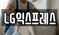 LG익스프레스