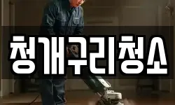 청개구리청소
