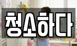 청소하다
