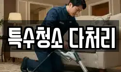 특수청소 다처리