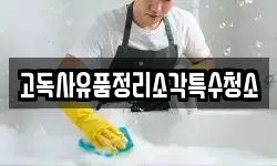 고독사유품정리소각특수청소