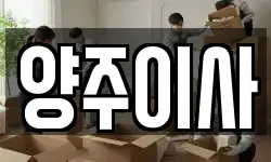 양주이사