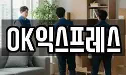 OK익스프레스