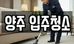 양주 입주청소