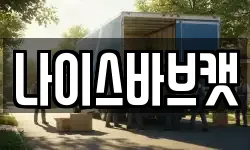 나이스바브캣