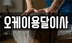 오케이용달이사