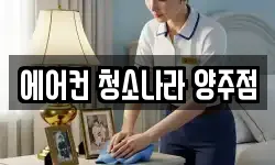 에어컨 청소나라 양주점