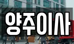 양주이사