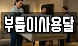 부름이사용달