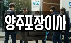 양주포장이사