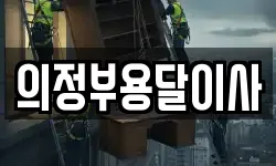 의정부용달이사