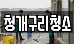 청개구리청소