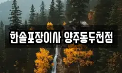 한솔포장이사 양주동두천점