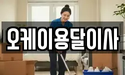오케이용달이사