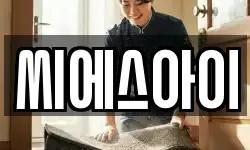 씨에스아이