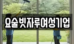 요술빗자루여성기업