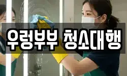경기 양평군 강하면 청소,입주청소,사무실청소,에어컨청소