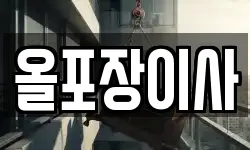 올포장이사