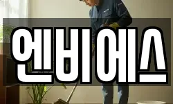 엔비에스