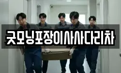 굿모닝포장이사사다리차