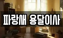 경기 양평군 양평읍 이사,용달이사,포장이사,원룸이사,보관이사