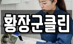 황장군클린