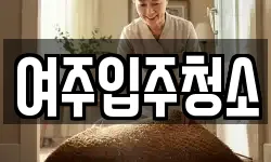 여주입주청소
