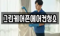 그린케어존에어컨청소