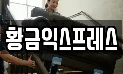 황금익스프레스