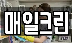 매일크린