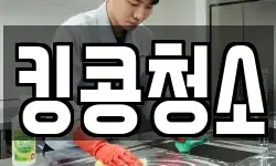 킹콩청소