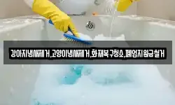 강아지냄새제거,고양이냄새제거,화재복구청소,폐업지원금철거