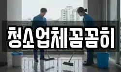 청소업체꼼꼼히