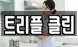 트리플 클린