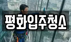평화입주청소