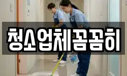 청소업체꼼꼼히