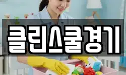 클린스쿨경기