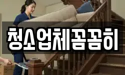 청소업체꼼꼼히