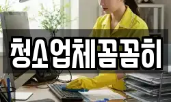 청소업체꼼꼼히