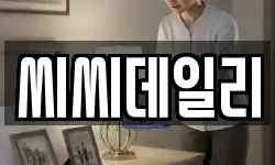 씨씨데일리